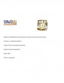 Acompañamiento de enfermería en el proceso de muerte del ser humano.