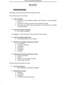 Practica evaluación de riesgos. Paletizador de una empresa que fabrica botellas de vidrio.