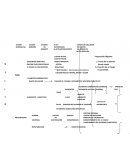 CUADRO TEORIA DEL DELITO.