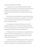 Orto Foto Y Modelo Digital De Terreno