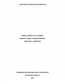 CASO PRACTICO ESTILOS DE DIRECCION