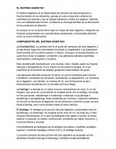 COMPONENTES DEL SISTEMA DIGESTIVO