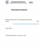 Tema: Estimulación temprana