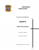 FILOSOFÍA DEL DERECHO ABORTO