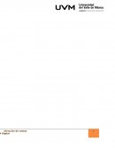 Desarrollo de integradora-Final.