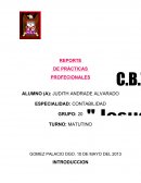 REPORTE DE PRÁCTICAS PROFECIONALES CONTABILIDAD