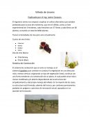 Anatomia y Morfologia de la granada