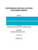 Tema- Informe de diagnostico preescolar