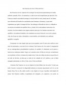 San Francisco de Asís, El Don de Servir