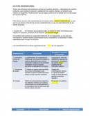 Cultura organizacional de mi emrpesa