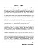 Ensayo Libro de Elisa