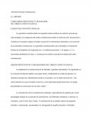 EL AMPARO COMO MEDIO PREVENTIVO Y REPARADOR