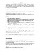 Aminoácidos no esenciales: Son producidos por el cuerpo.