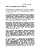 PSICOLOGÍA DE LOS OBJETOS
