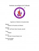 Riesgos en Gestión de Proyectos de Software