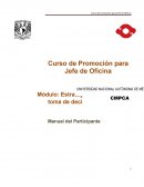 Estrategias para la toma de decisiones. Manual del Participante