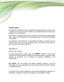 Analisis de grupos en una microempresa