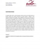 TEMA DEL NO RETROACTIVIDAD DE LA LEY.