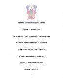 JUICIO EN MATERIA FAMILIAR