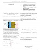 PROYECTO-FINAL-TRANSFERENCIA-DE-CALOR