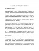 JUSTIFICACION Y TERMINOS DE REFERENCIA