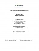 PROYECTO FINAL EMPRESA HONDUMEX