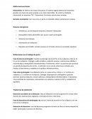 Malformaciones fetales