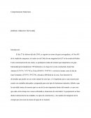 Riesgo Urbano Tsunami