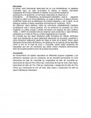 El primer corte transversal observado fue en una dicotiledónea, la calabaza (cucúrbita spp), en este se muestra el xilema,