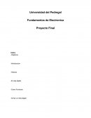 Fundamentos de Electronica Proyecto Final