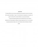 Capa de presentacion.