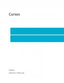Las mejores razas bovinas para la producción de carne