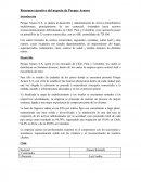 Resumen ejecutivo del negocio de Parque Arauco.