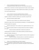 ¿Cuál es la importancia del almacén para una organización?