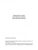 TRES COMPETENCIAS LABORALES
