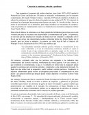 Acción diplomática. Comercio de emisiones, solución o problema