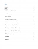 ¿Para quién produce México y Canadá?