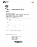 Enumere algunas diferencias en Equipos Y Grupos