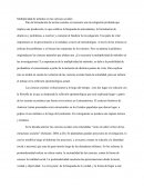 Multiplicidad de métodos en las ciencias sociales