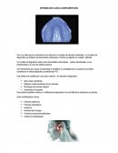 Teorema de pitagoras.