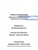 ¿Qué conoce de la educación a distancia en el Ecuador?