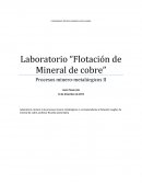 Laboratorio “Flotación de Mineral de cobre” Procesos minero-metalúrgicos II