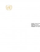 Papel de posicion. Los Derechos Humanos.