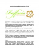 Breve historia de la empresa y su actividad principal.