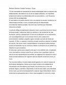 Más allá del documental: El neorrealismo en una película de guerra