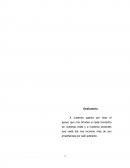 Delincuencia juvenil y pandillaje en la jurisdiccion de la comisaria del “RIMAC”