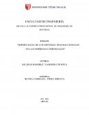 Importancia de los sistemas transaccionales en las empresas comerciales