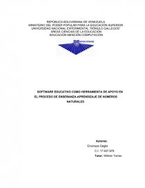 SOFTWARE EDUCATIVO COMO HERRAMIENTA DE APOYO EN EL PROCESO DE ENSEÑANZA-APRENDIZAJE DE NÚMEROS NATURALES. Página 1