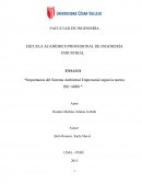 Importancia del Sistema Ambiental Empresarial según la norma ISO 14000