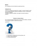 Conjunto de cualidades que determinan su utilidad, en donde el software cumple con los requisitos específicos (eficiencia, flexibilidad, corrección, mantenimiento seguridad e integridad)